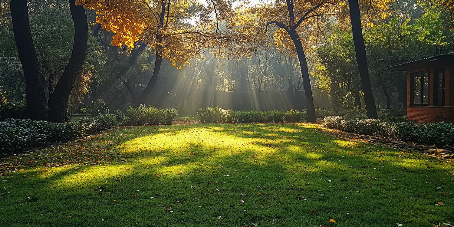 Jaka trawa z rolki czy siana?
