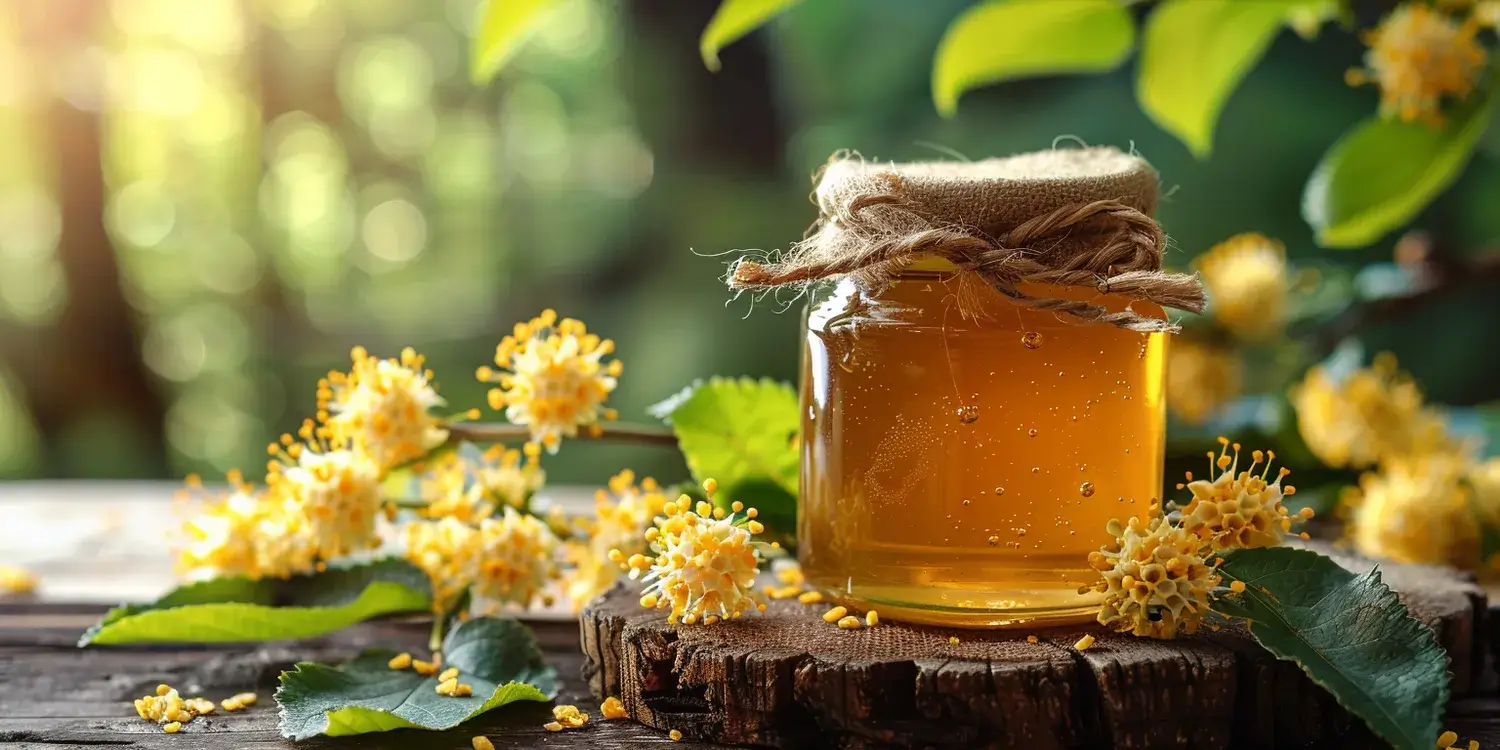 Kiedy odebrać miód rzepakowy?