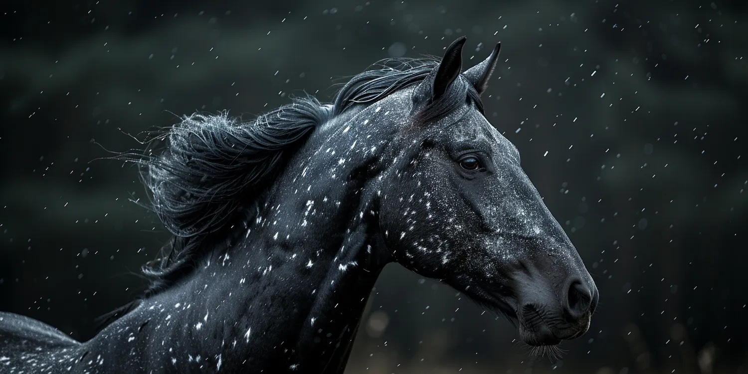 Krematorium dla zwierząt - godne pożegnanie czworonożnego przyjaciela