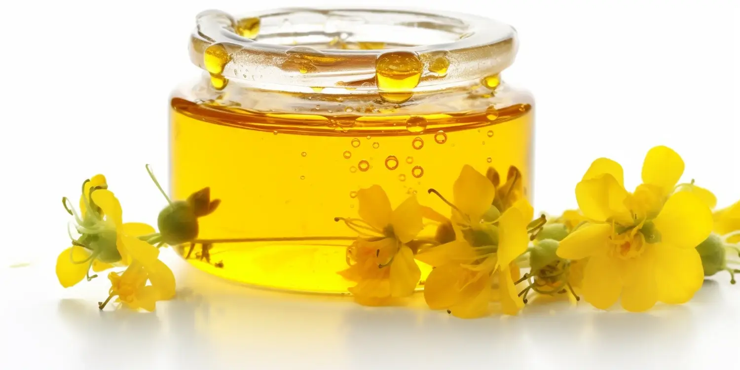 Miód nektarowo-spadziowy pomocny w jakich schorzeniach?