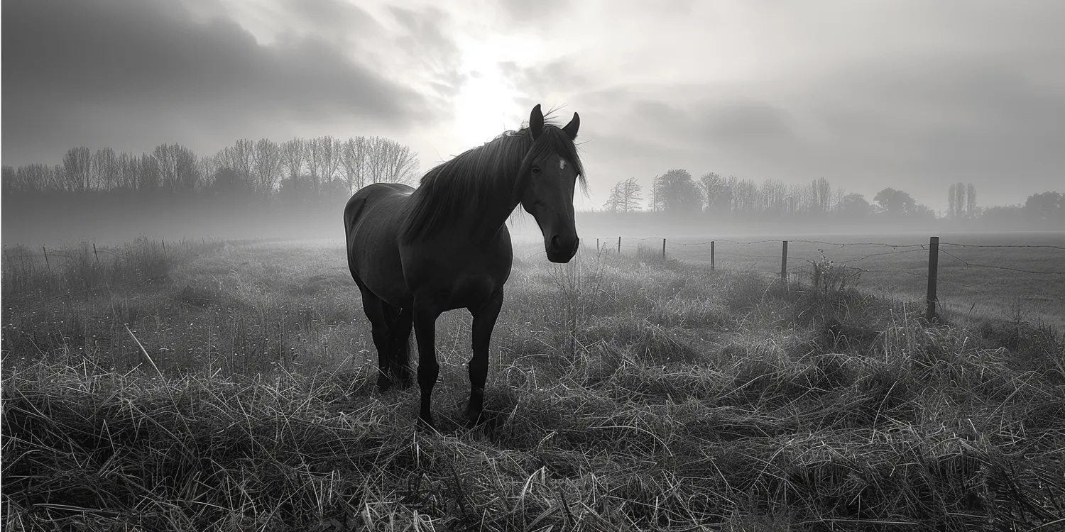 Jak wytłumaczyć dziecku śmierć zwierzęcia?